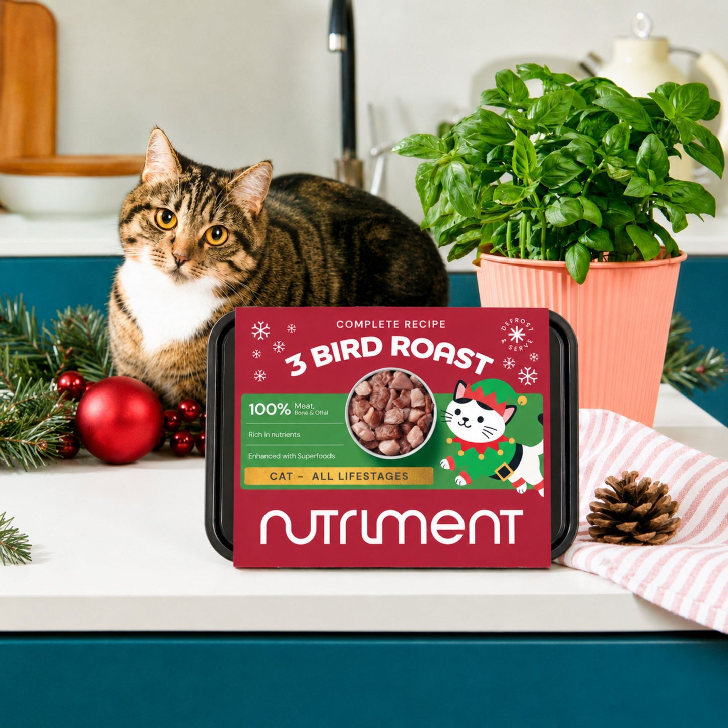 Cat Raw 3 Bird Roast 500g - Christmas Limited Edition