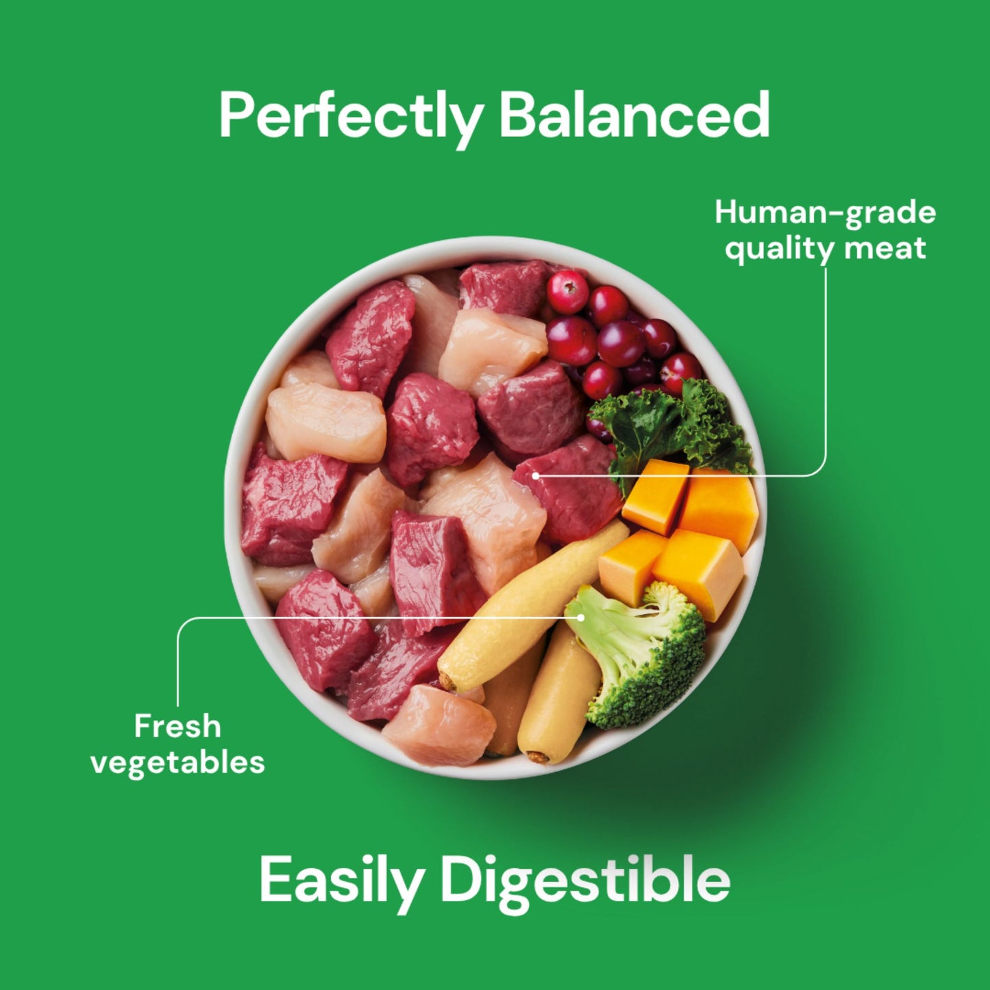Raw Venison & Turkey 500g - Christmas Limited Edition