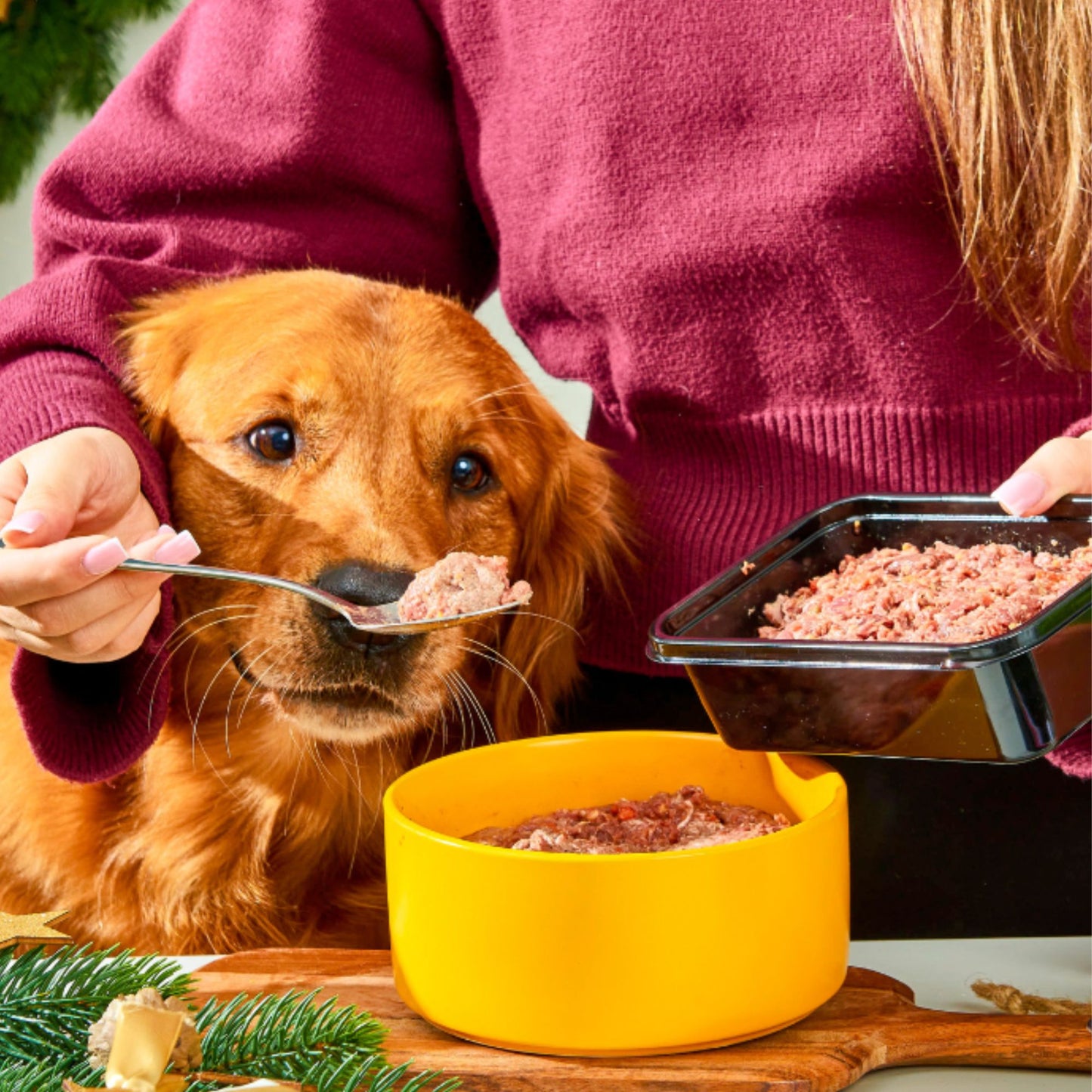 Raw Venison & Turkey 500g - Christmas Limited Edition