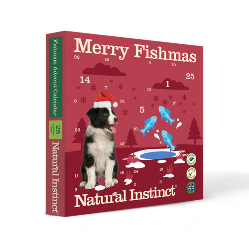 Fishmas Advent Calendars 2026 (1 & 10 boxes)
