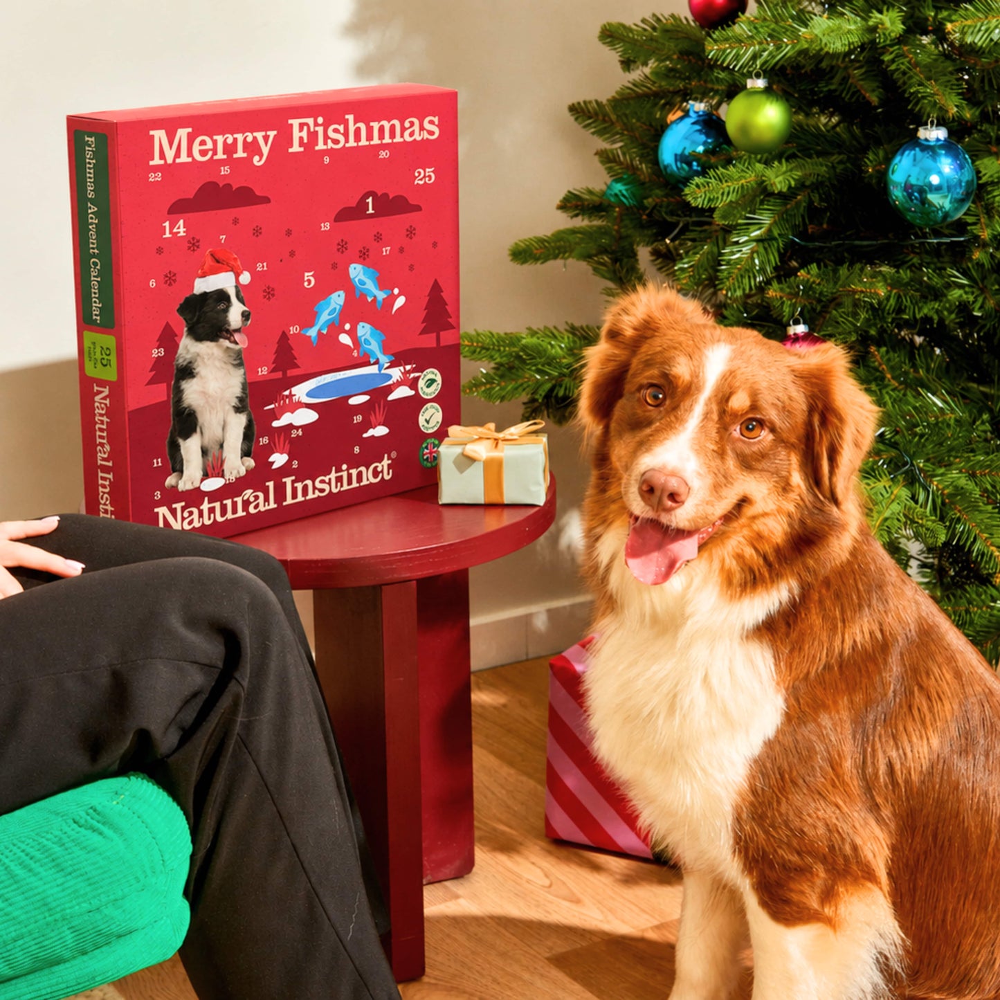 Fishmas Advent Calendars 2026 (1 & 10 boxes)