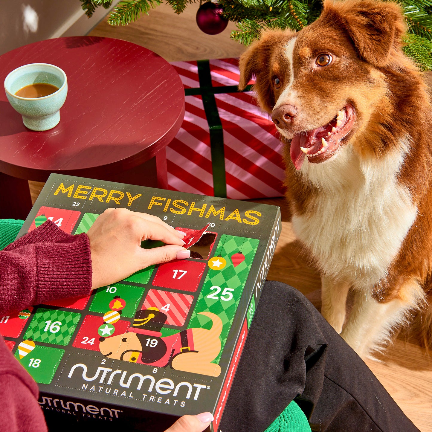 Fishmas Advent Calendars 2025 (10 boxes)